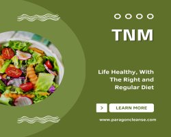 Paragon Parasite Cleanse, Binder, TNM Liver Support