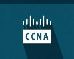 How CCNA Helps You Become a Network Engineer?