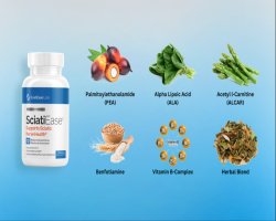 How Sciatiease Helps Support Comfort for People with Sciatica Pain