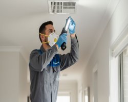 How to Spot Signs of a Dead Possum in Your Ventilation System