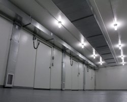 Reliable Mobile Cold Room Solutions in Gold Coast and Brisbane
