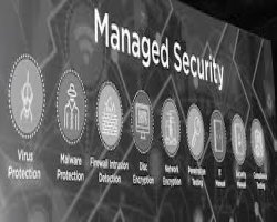 Five Security Features Professional Hosting Services Provide