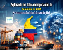 Explorando los datos de importación de Colombia en 2025 y su impacto en los datos del comercio global