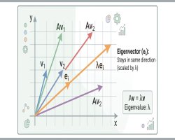 Eigenvalues and Eigenvectors Explained Intuitively