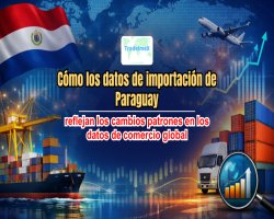 Cómo los datos de importación de Paraguay reflejan los cambios patrones en los datos de comercio global