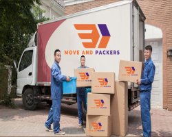 Move and Packers | Reliable Moving & Packing Services Near You
