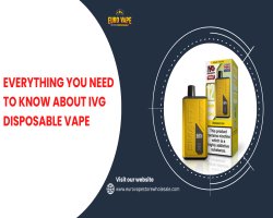 Everything You Need to Know About IVG Disposable Vape