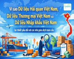 Vì sao Dữ liệu Hải quan Việt Nam, Dữ liệu Thương mại Việt Nam và Dữ liệu Nhập khẩu Việt Nam lại thiết yếu đối với các nhà giao dịch toàn cầu