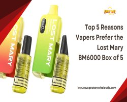 Top 5 Reasons Vapers Prefer the Lost Mary BM6000 Box of 5