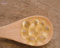 Paragon & TNM & Binder Bundle: A Complete Solution for Digestive and Internal Wellness