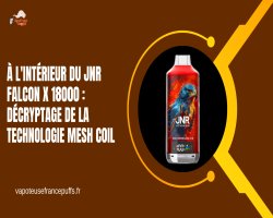 À l'Intérieur du JNR Falcon X 18000 : Décryptage de la Technologie Mesh Coil