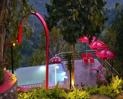 Best Place to Visit in Kodaikanal for a Peaceful Summer Break