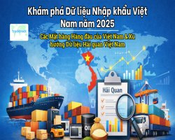 Khám phá Dữ liệu Nhập khẩu Việt Nam năm 2025: Các Mặt hàng Hàng đầu của Việt Nam & Xu hướng Dữ liệu Hải quan Việt Nam