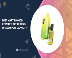 Lost Mary BM6000: Complete Breakdown of 6000-Puff Capacity