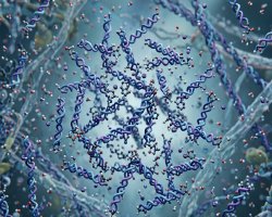 How Low-Molecular Collagen Improves Absorption and Delivers Visible Skin Benefits