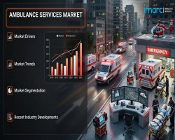 Ambulance Services Market Size, Share, and Growth Analysis 2026-2034