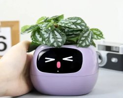Smart Planters: The Future of Indoor Gardening