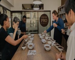 Perfecting Roasts with a Small Batch Coffee Roaster