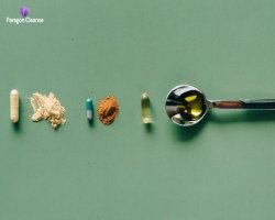 Paragon Cleanse & Binder: Full Body Detox Guide