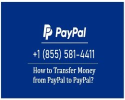 PayPal to PayPal Transfers: How to Send Money in Minutes
