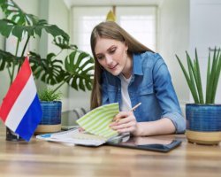 How to Set Up an Overseas Company in the Netherlands 