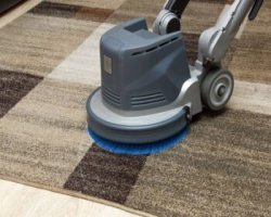 Carpet Cleaning Services Maintain Homes That Experience Heavy Traffic