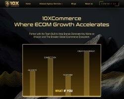 From $13K Monthly Revenue to $275K Monthly Sales: The Beauty Brand Scaling Secret