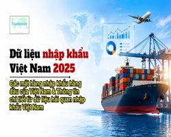 Dữ liệu nhập khẩu Việt Nam 2025: Các mặt hàng nhập khẩu hàng đầu của Việt Nam & Thông tin chi tiết từ dữ liệu hải quan nhập khẩu Việt Nam