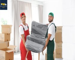 Best Movers in Dubai | Prime Zone Movers Fast & Trusted