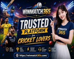 Winmatch365: A Trusted Platform for Cricket Lovers
