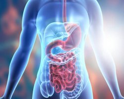 Pharmacy-led digestive care is shaping everyday self-treatment in France