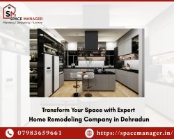 What Are the Most Popular Kitchen Renovation Ideas for Modern Homes?
