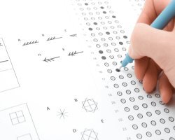 How Accurate Are Online IQ Tests for Students and Job Seekers
