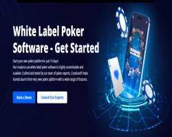 White Label Poker Software: A Cost-Effective Solution for Online Poker Businesses