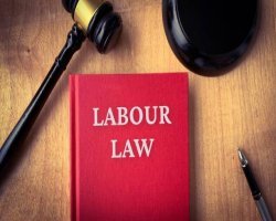 Top Labour Law Firms in India for Expert Legal Solutions