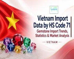Vietnam Import Data by HS Code 71: Gemstone Import Trends, Statistics & Market Analysis
