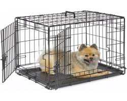 Choosing a Large Dog Carrier: What UK Owners Need to Know