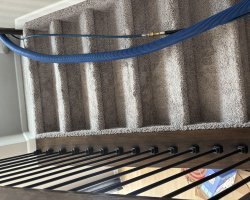  Wheat Ridge Pet Carpet: Managing the Urban Suburb's Most Demanding Indoor Contamination Challenge
