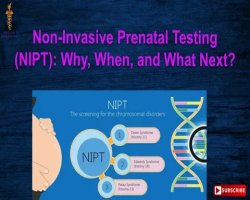 Non Invasive Prenatal Paternity Test: Safe and Accurate Answers Before Birth
