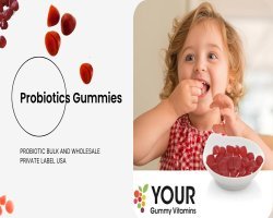 Probiotic Gummies Wholesale for Growing Wellness Brands Across USA