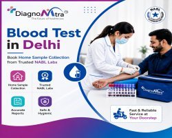Blood Test in Delhi: Book Home Sample Collection from Trusted NABL Labs