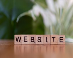 Hire Expert Cricket Betting Website Developers for Your Sportsbook