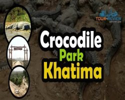 Crocodile Park Khatima: A Hidden Wildlife Gem in Uttarakhand Worth Exploring