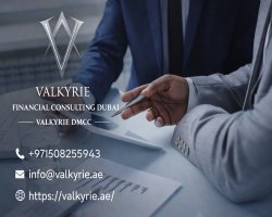 Major Roles Handled By Professional Financial Consultancy Team