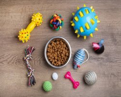 Premium Pet Care Is Strengthening Consumer Spending Across France