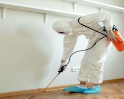 Exterminator