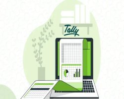How Does Tally Support Multi-Currency Accounting?