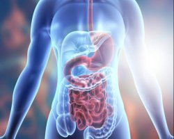 Why Digestive Health Solutions Are Seeing Steady Demand in Turkey