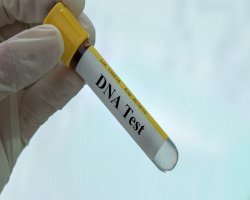 Legal DNA Test for Paternity,Immigration & Family Law