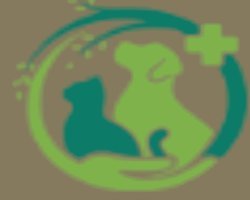 Ring Tailed Lemur Weight: Average Size, Growth, and Factors That Affect Body Weight